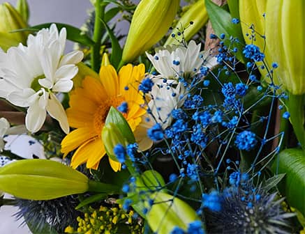 Gros plan sur un bouquet de fleurs aux couleurs jaune, blanc, bleu et vert